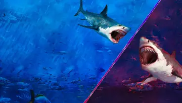Backdrop for the TV series "Shark Week" #1362293