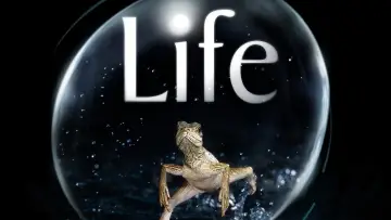 Backdrop к сериалу "Life" #1455269