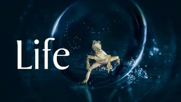 Backdrop к сериалу "Life" #1455280