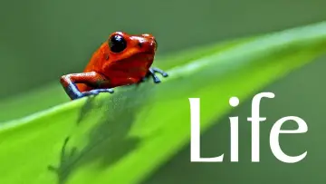 Backdrop к сериалу "Life" #1455281