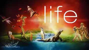 Backdrop к сериалу "Life" #1455282