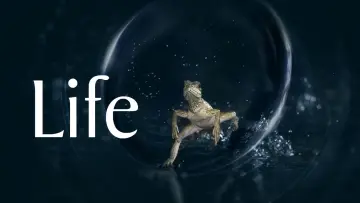 Backdrop к сериалу "Life" #1455284