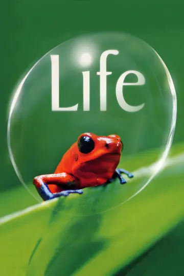 Poster к сериалу "Life" #1455289
