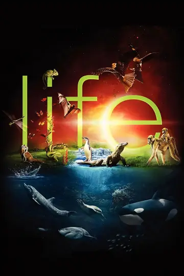 Poster к сериалу "Life" #1455290