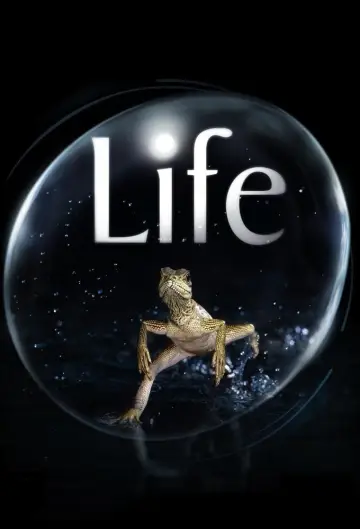 Poster к сериалу "Life" #1455291