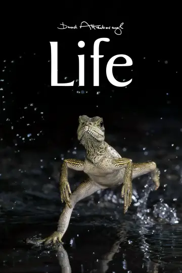 Poster к сериалу "Life" #1455296