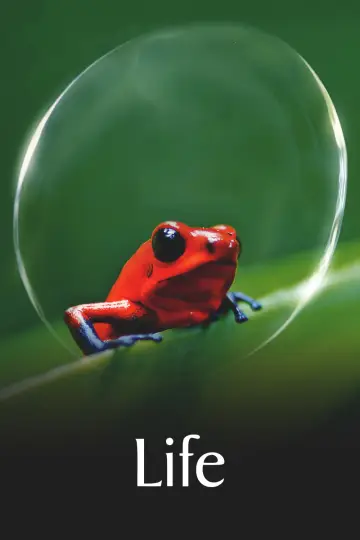 Poster к сериалу "Life" #1455298