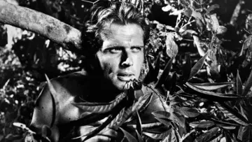 Backdrop for the TV series "Tarzan" #1345679