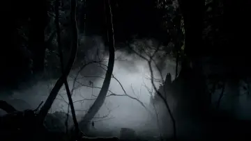 Backdrop for the TV series "The Vampire Diaries" #1240032