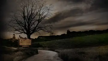 Backdrop for the TV series "The Vampire Diaries" #1240034
