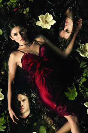 Poster for the TV series "The Vampire Diaries" #1240331