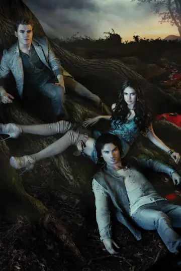 Poster for the TV series "The Vampire Diaries" #1240357