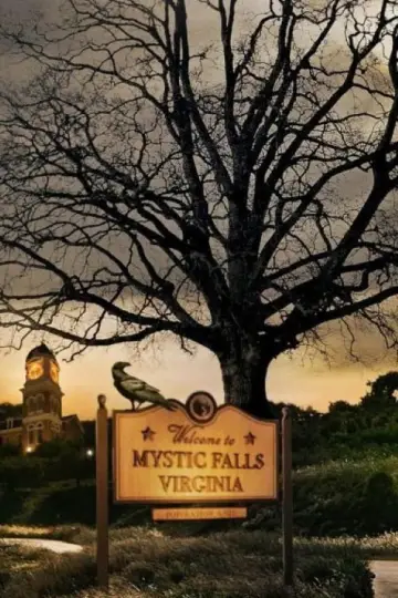 Poster for the TV series "The Vampire Diaries" #1240404