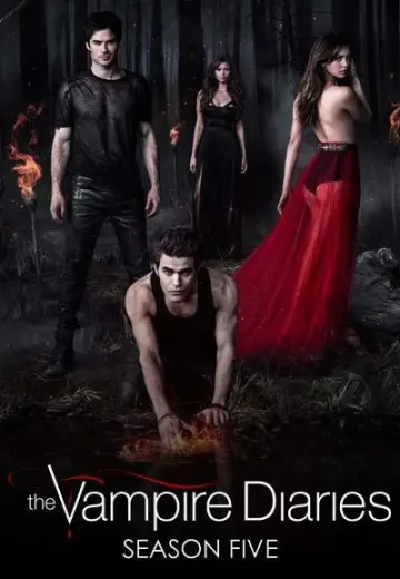 Poster for the TV series "The Vampire Diaries" #1259755