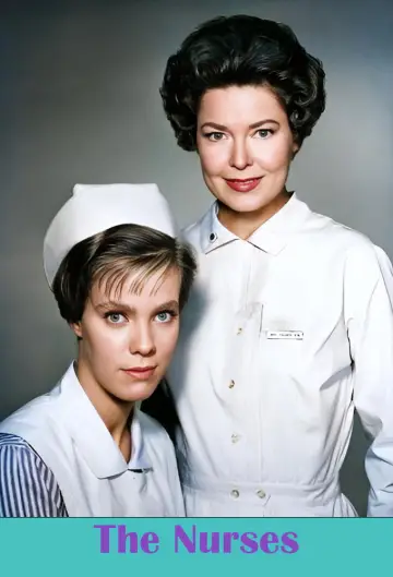 The Nurses poster
