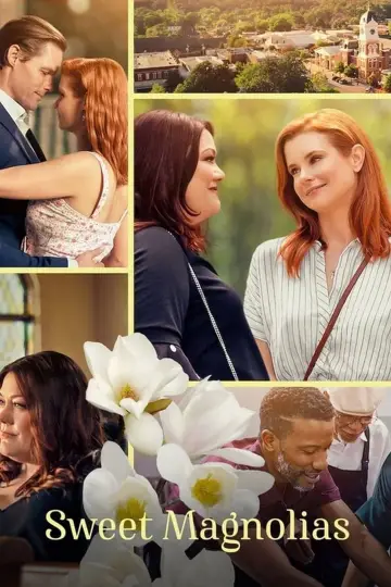 Poster for the TV series "Sweet Magnolias" #1382947