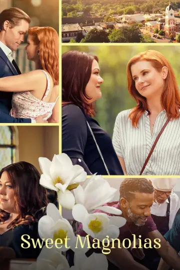 Poster for the TV series "Sweet Magnolias" #1382949