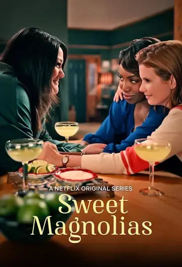 Poster for the TV series "Sweet Magnolias" #1382950