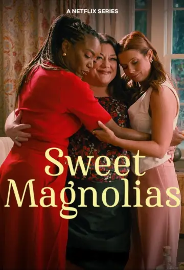 Poster for the TV series "Sweet Magnolias" #1382955