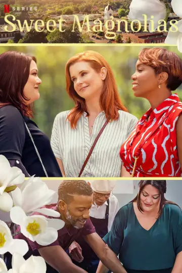 Poster for the TV series "Sweet Magnolias" #1382957