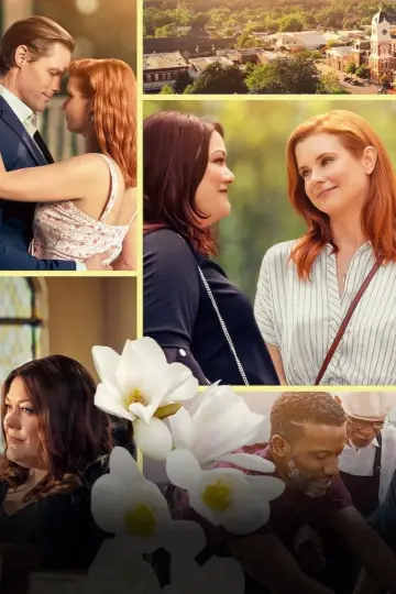 Poster for the TV series "Sweet Magnolias" #1382962