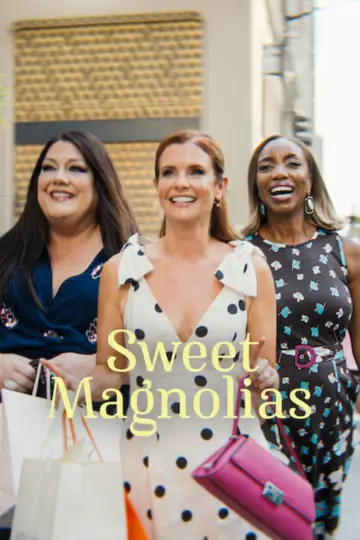Poster for the TV series "Sweet Magnolias" #1382963