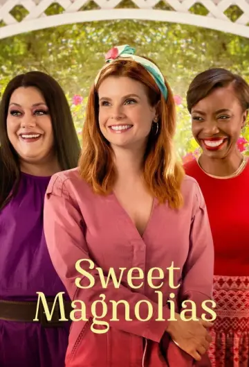Poster for the TV series "Sweet Magnolias" #1382964