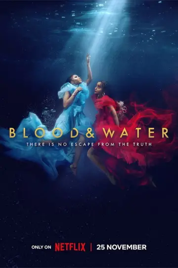 Poster for the TV series "Blood & Water" #1460093