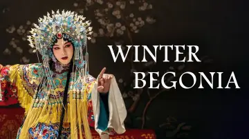 Backdrop к сериалу "Winter Begonia" #1432871