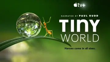 Backdrop к сериалу "Tiny World" #1505893