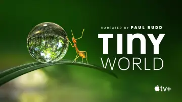 Backdrop к сериалу "Tiny World" #1505894