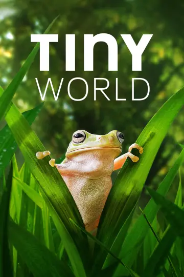 Tiny World (2020)