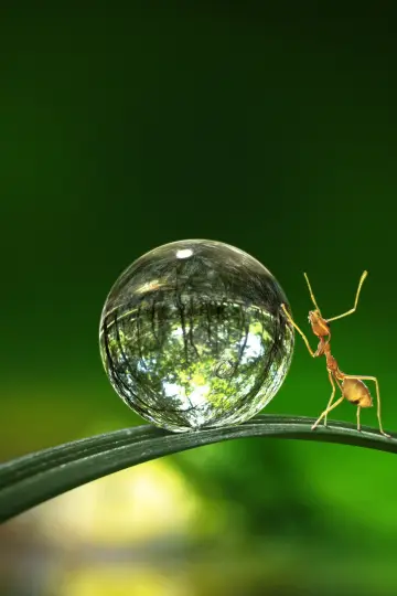 Poster к сериалу "Tiny World" #1505917