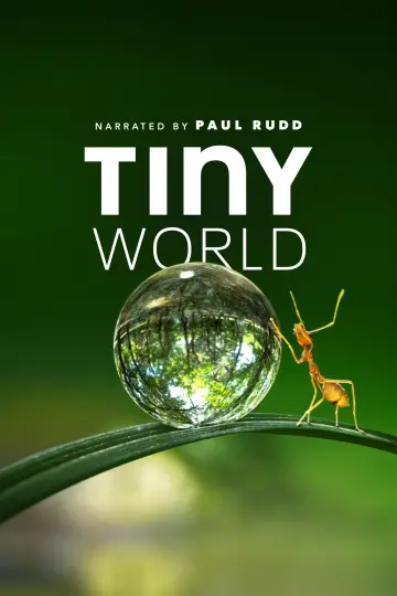 Poster к сериалу "Tiny World" #1505921