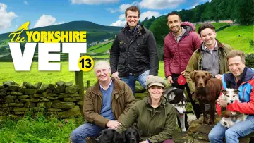 Backdrop к сериалу "The Yorkshire Vet" #1444116