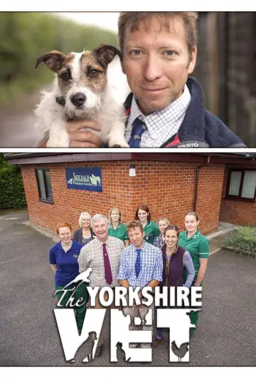 Poster к сериалу "The Yorkshire Vet" #1444120
