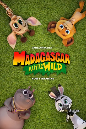 Poster for the TV series "Madagascar: A Little Wild" #1441925