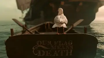 Backdrop for the TV series "Our Flag Means Death" #1385983