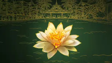 Backdrop for the TV series "The White Lotus" #1268912