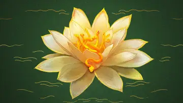 Backdrop for the TV series "The White Lotus" #1269064