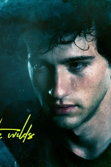 Poster for the TV series "The Wilds" #1461940