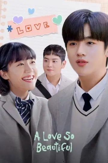 Poster for the TV series "A Love So Beautiful" #1455975