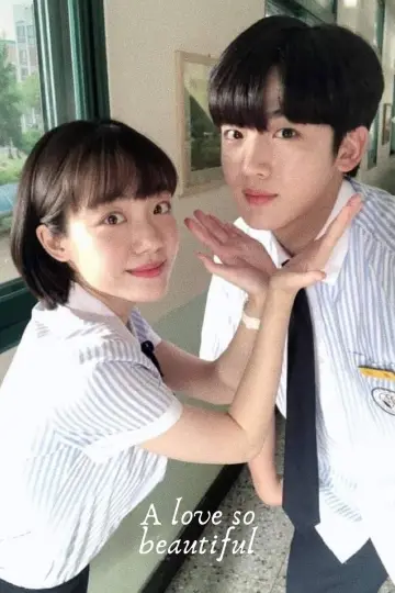 Poster for the TV series "A Love So Beautiful" #1455978