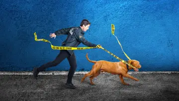 Backdrop for the TV series "Turner & Hooch" #1448007