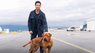 Backdrop for the TV series "Turner & Hooch" #1448009
