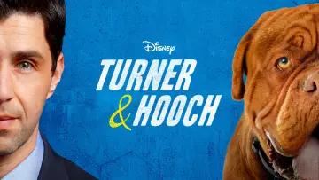 Backdrop for the TV series "Turner & Hooch" #1448014