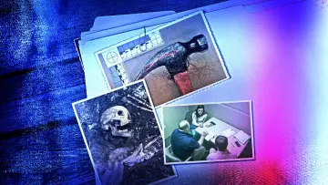 Backdrop for the TV series "Killer Cases" #1494901