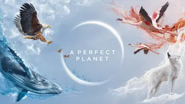 Backdrop for the TV series "A Perfect Planet" #1605211