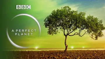 Backdrop for the TV series "A Perfect Planet" #1605213