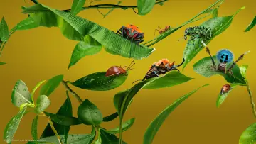 Backdrop for the TV series "A Real Bug